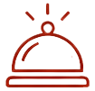 Rapid support